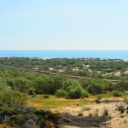 Da Lota Beachfront - &